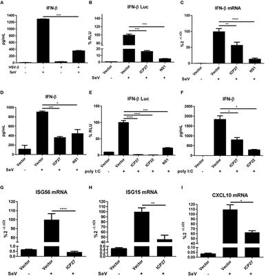 Phytotherapie zur Gewichtsreduktion pdf Viewer
